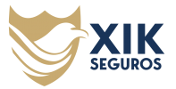 Logo_Xik_Sem_Fundo